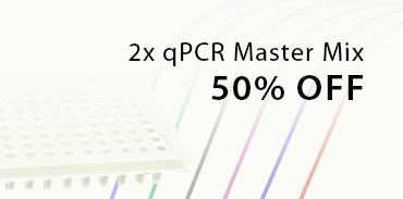 2x pcr master mixes