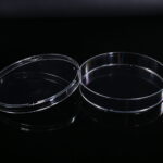 100mm Cell Culture Dish-1