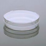 100mm Cell Culture Dish-2