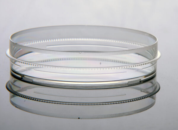 100mm Dish with Gripping Ring-1