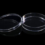 100mm Petri Dish (2)