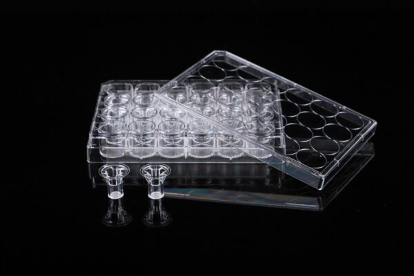 12 Inserts+24 Well Plate-1