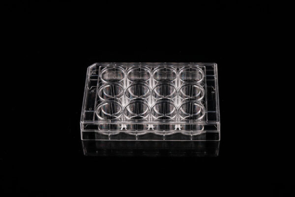 12 Well Cell Culture Plate-1