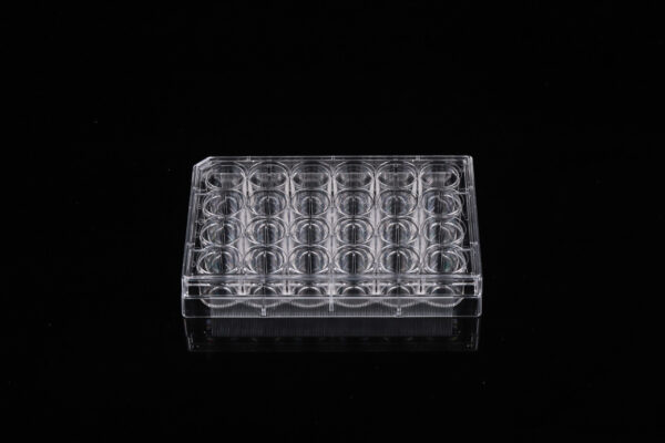 24 Well Glass Bottom Plate