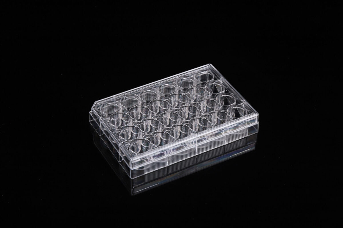 24 Well Glass Bottom Cell Culture Plate (801006) Nest Ushelf