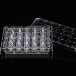 24 Well Glass Bottom Plate-3