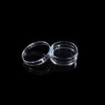 35mm Cell Culture Dish