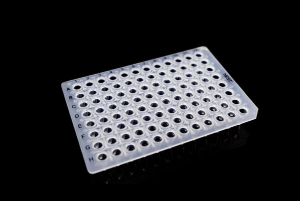 0.1ml 96 Well PCR Plate