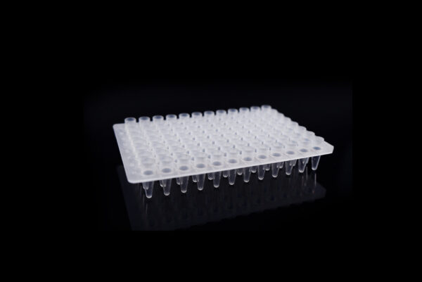 402201 0.2ml 96 Well PCR Plate