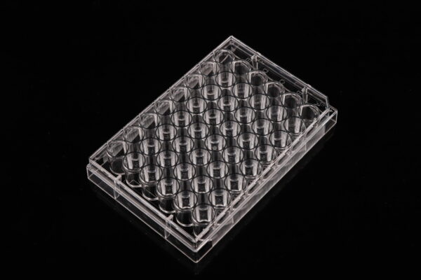 48 well cell culture plate-1