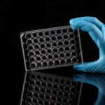 48 well cell culture plate-3