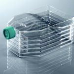 5-Layer Cell Culture Flask-1