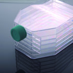 5-Layer Cell Culture Flask-3