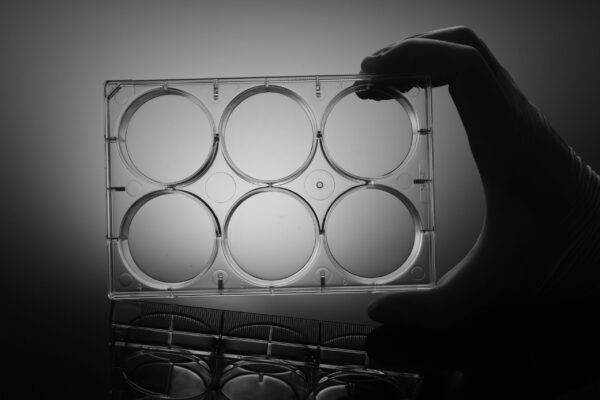 6 Well Cell Culture Plate-1