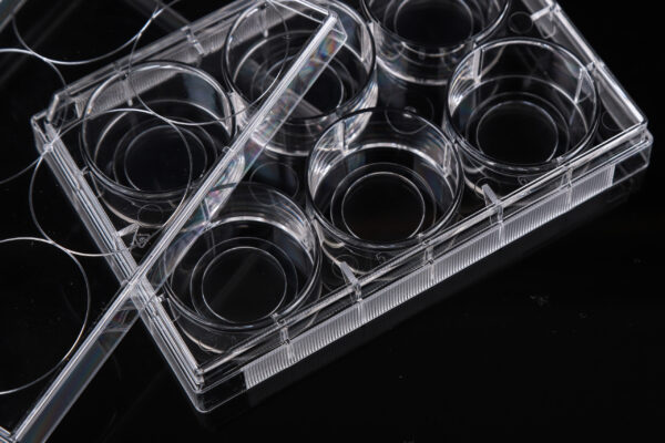 6 Well Glass Bottom Plate