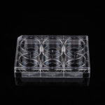6 Well Glass Bottom Plate-2