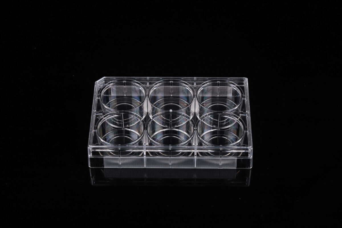 6 Well Glass Bottom Cell Culture Plate (801004) Nest Ushelf