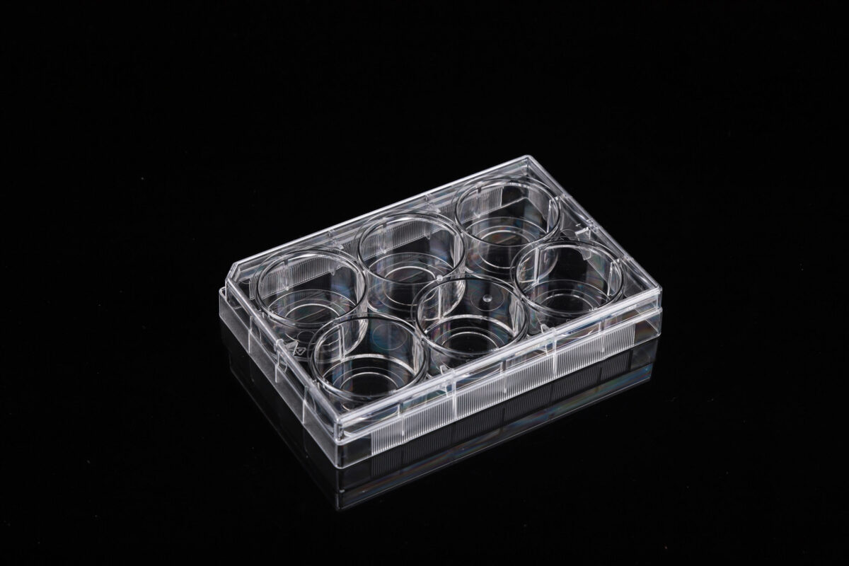 6 Well Glass Bottom Cell Culture Plate (801004) Nest Ushelf