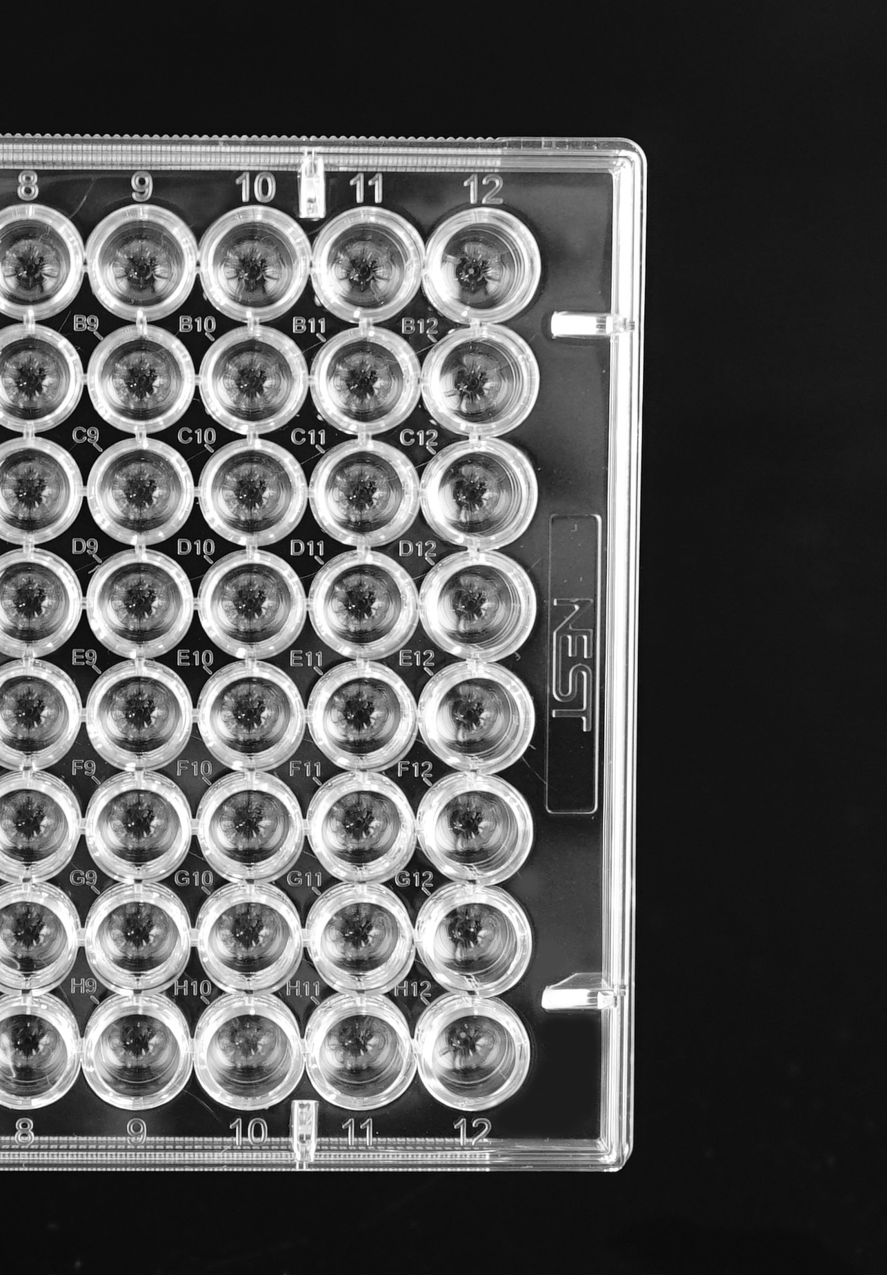 thumbnail image 2 of 6 Well Tissue Plate 96 Well Cell Culture Plate With Tissue Culture TC Treated For Lab U Bottom Individual Packaging Sterile Pill Capsules Filling Tray 2 of 12