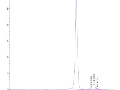 Mouse ADAM9 Protein (ADM-MM109)