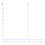 Human Annexin V/ANXA5 Protein (AN5-HE005)