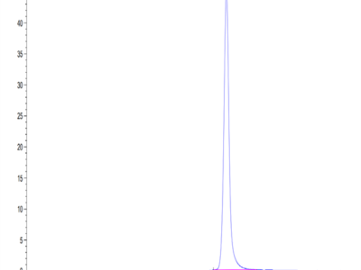 Human Annexin V/ANXA5 Protein (AN5-HE005)