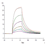 Human Serum Albumin Protein (BSA-HM401)