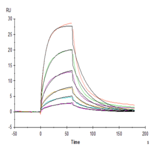 Human Serum Albumin Protein (BSA-HM401)