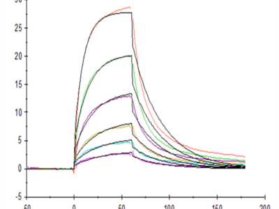Human Serum Albumin Protein (BSA-HM401)