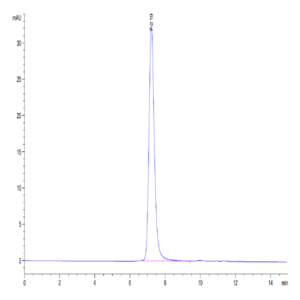 Human Serum Albumin Protein (BSA-HM401)