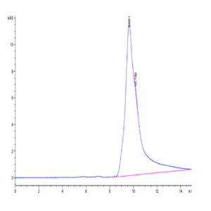 Human CD69/CLEC2C Protein (CD6-HM196)
