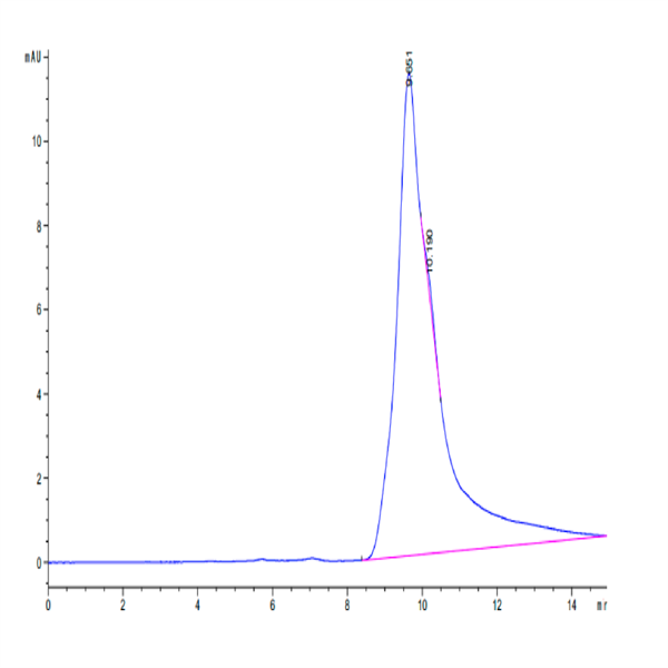 Human CD69/CLEC2C Protein (CD6-HM196)