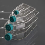 Cell Culture Flask-4