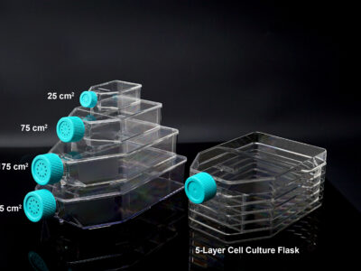 225cm2 Cell Culture Flask