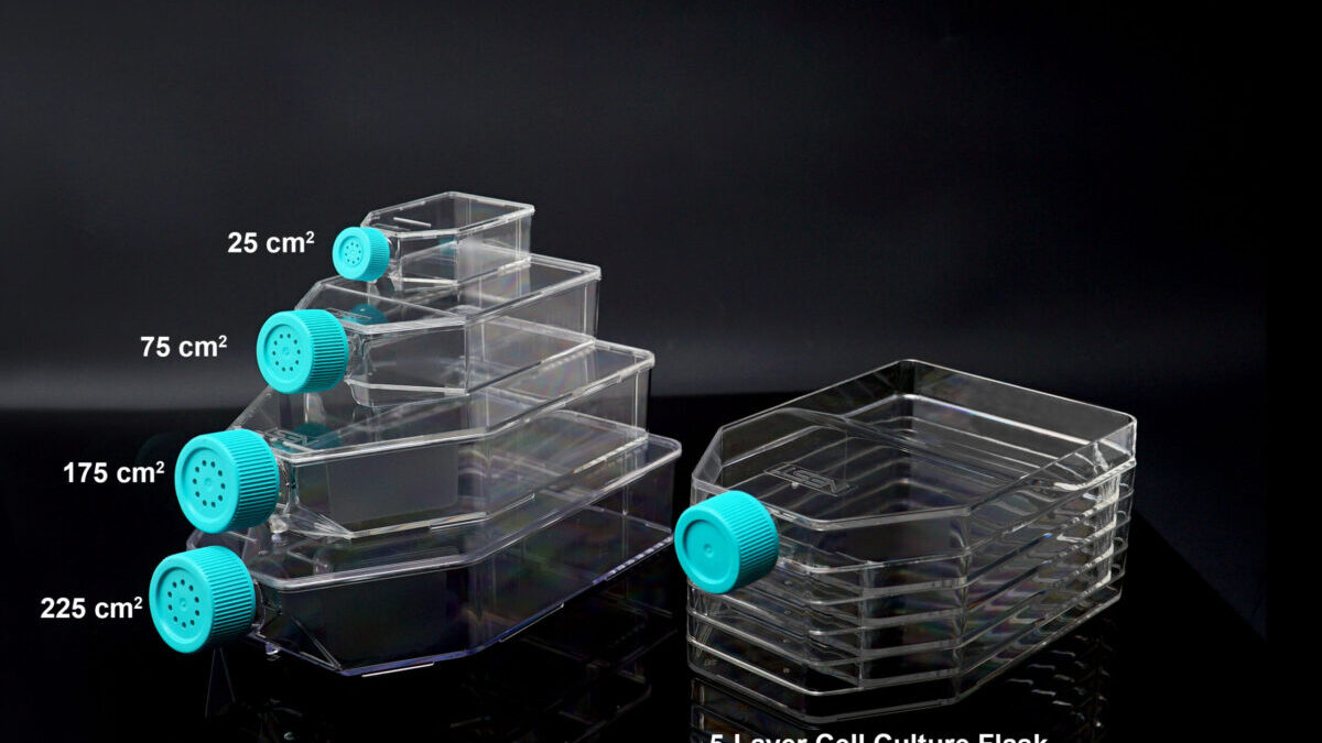 BE FIRST メガカプセル　ボトル 75cm2 Cell Culture Flask, Vent Cap (708003) | Nest | Ushelf