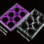 Low Evap EDGE Cell Culture Plate-1