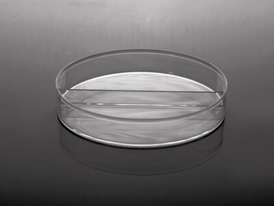 100 x 15 mm Petri Dish
