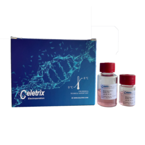Yeast electroporation kits 1207-2/1216-2/1201-2/1213-2 | Celetrix
