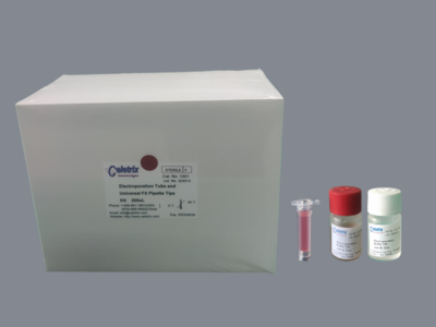 Electroporation kits（20ul-200ul）1207 | CELETRIX