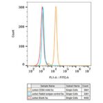 CD8A Rabbit mAb (Catalog Number: A0663) Abclonal