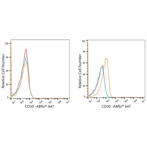Abclonal CD30 Rabbit mAb (Catalog Number: A21230)