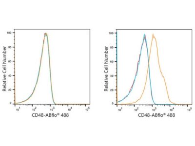 ABflo® 488 Rabbit anti-Human CD48 mAb (A21937)