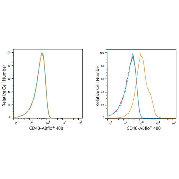 ABflo® 488 Rabbit anti-Human CD48 mAb (A21937)