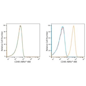 A21937: ABflo® 488 Rabbit anti-Human CD48 mAb