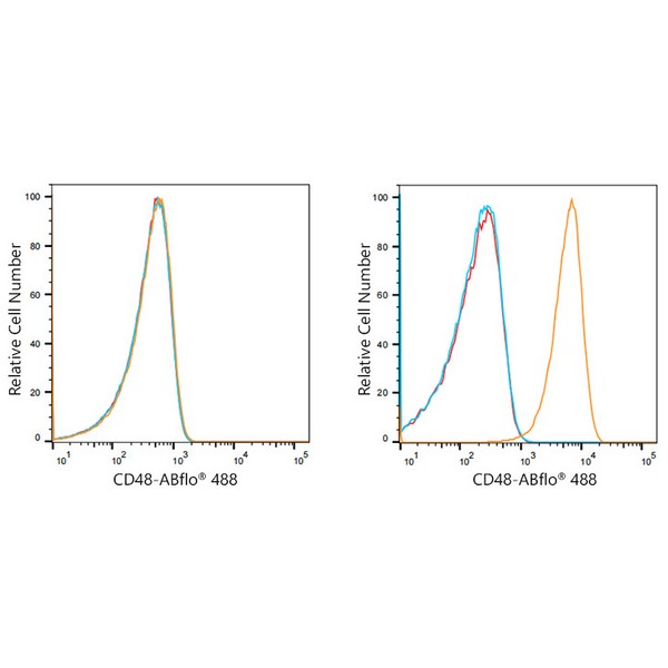 A21937: ABflo® 488 Rabbit anti-Human CD48 mAb