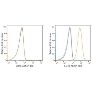 ABflo® 488 Rabbit anti-Human CD40 mAb (A21938)