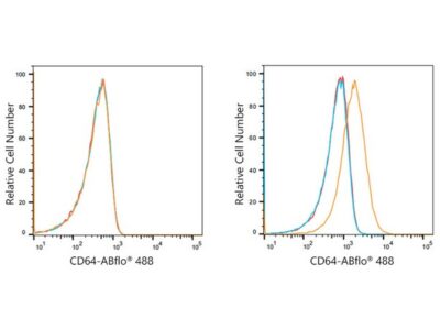 ABflo® 488 Rabbit anti-Human CD64 mAb (A21939)