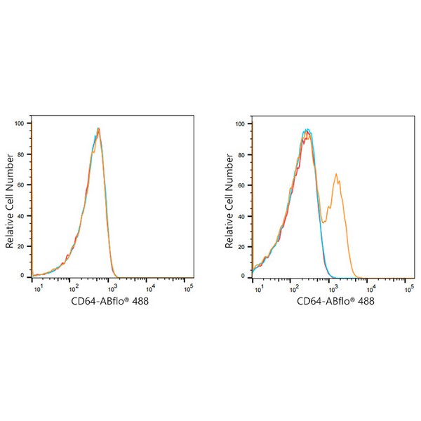 A21939: ABflo® 488 Rabbit anti-Human CD64 mAb