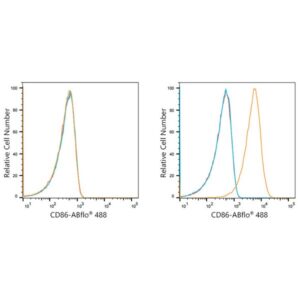 ABflo® 488 Rabbit anti-Human CD86 mAb (A21940)