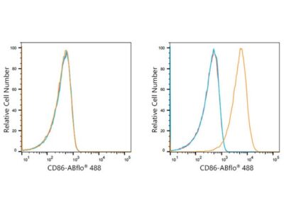 ABflo® 488 Rabbit anti-Human CD86 mAb (A21940)